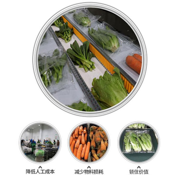 全自动果蔬包装机