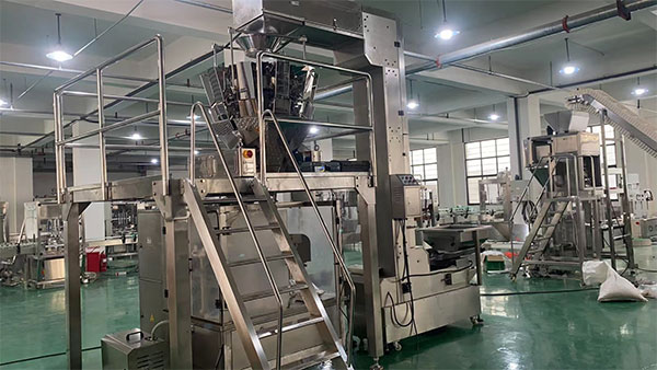 ȫ�Զ��ٶ�����ʳƷ��װ��